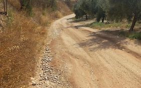 Alojamiento Rural El Yate
